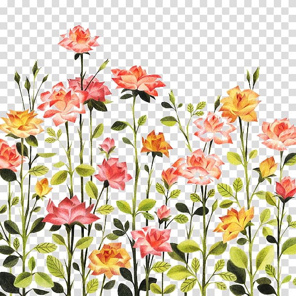 Rose Illustration, Hand-painted pattern rose bushes transparent background PNG clipart
