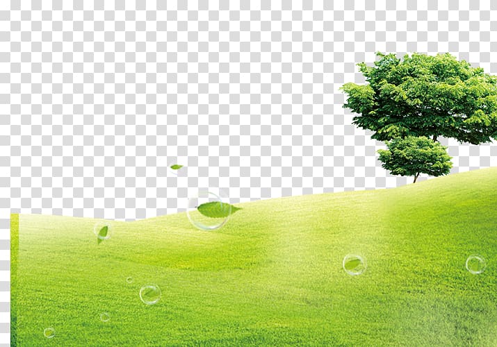 Green Lawn u5ba4u5167u7a7au6c23u6c61u67d3 Formaldehyde, Green grass background transparent background PNG clipart
