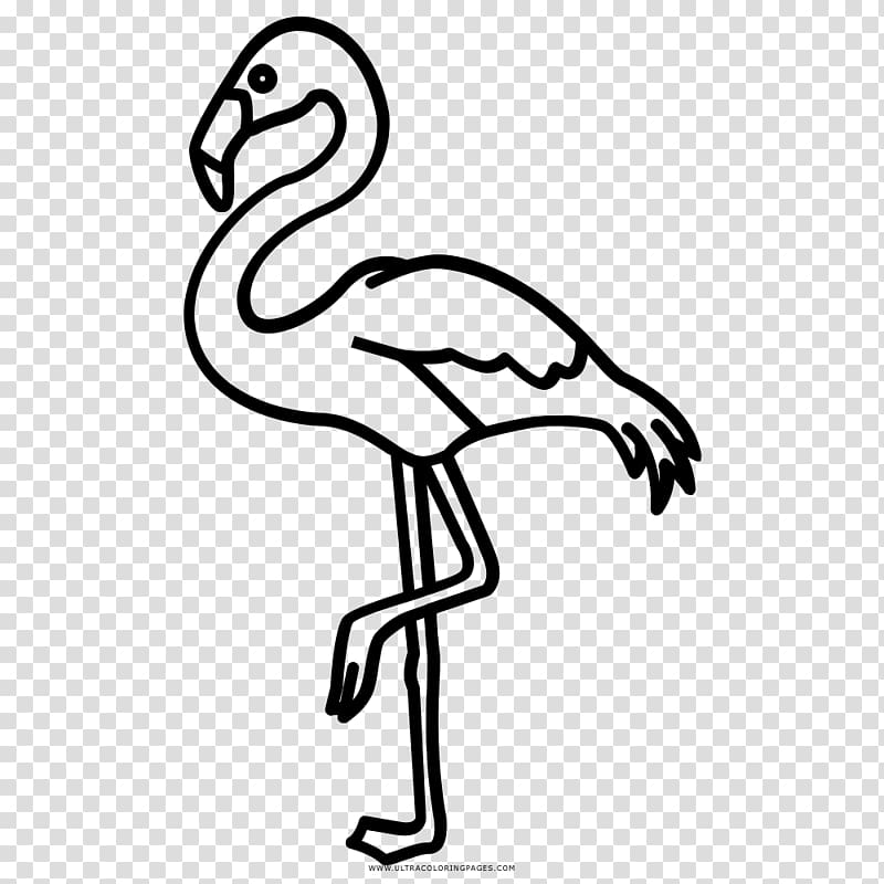 Flamingos Beak Black and white Drawing Coloring book, Silhouette transparent background PNG clipart