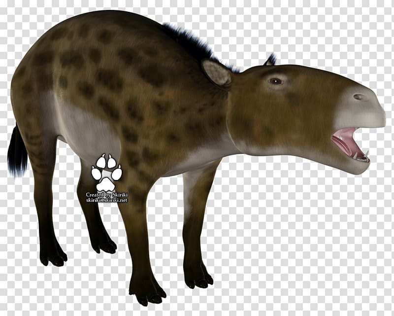 Eurohippus Propalaeotherium Ungulate Animal Extinction, applauded transparent background PNG clipart