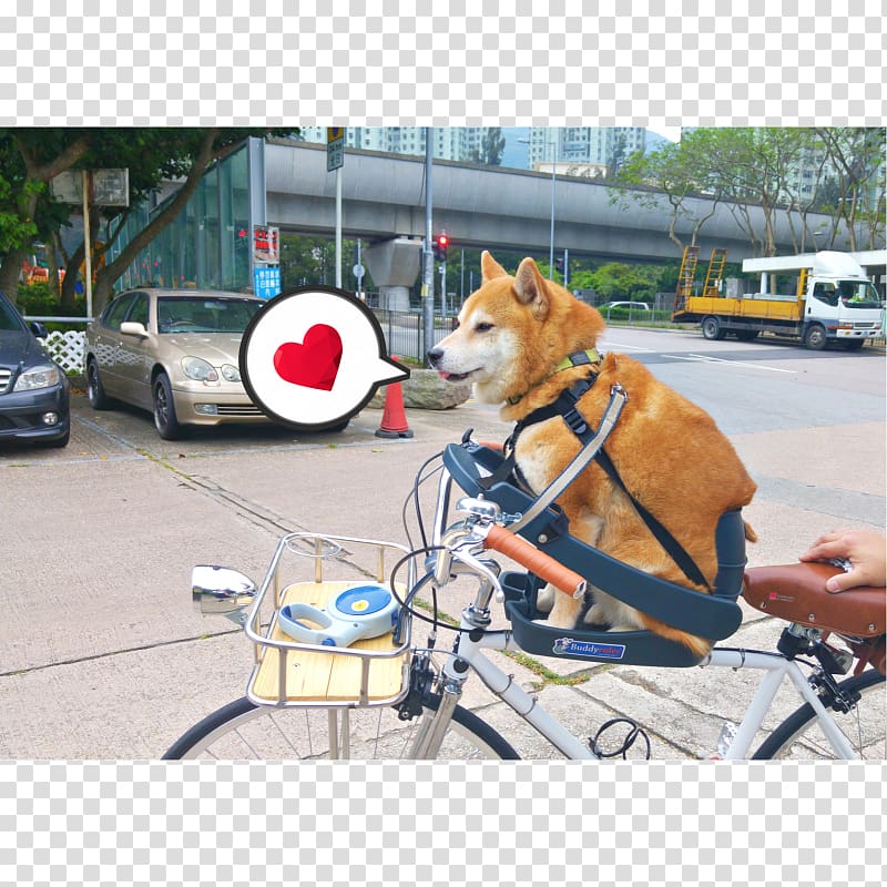 Dog breed Shiba Inu Bicycle seat Leash, Bicycle transparent background PNG clipart