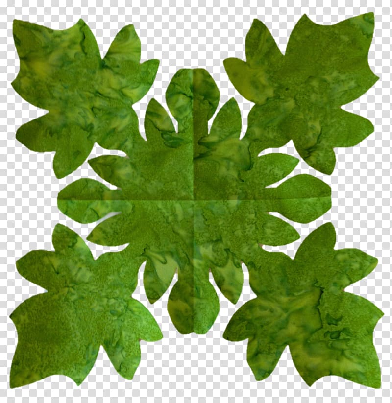 Plant Leaf Tree, monstera transparent background PNG clipart