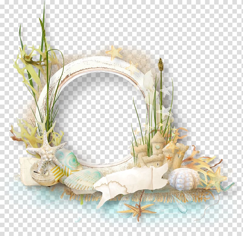 white seashells , frame , Conch flowers decorative ring transparent background PNG clipart