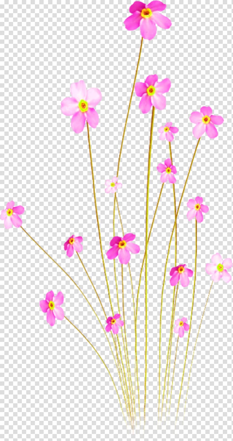 Pink flowers Peachez, een romance, peach flower transparent background PNG clipart