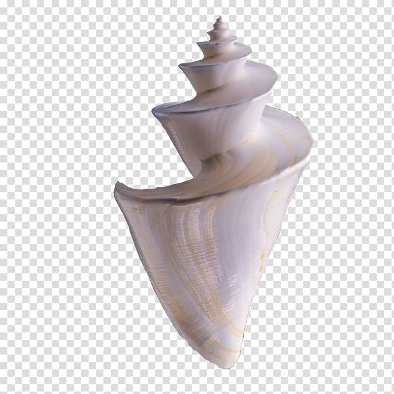 Seashell Seafood Sea snail, screw transparent background PNG clipart