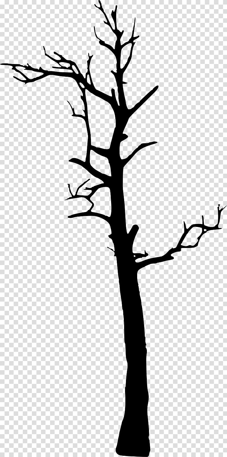 Tree Woody plant , dead tree transparent background PNG clipart