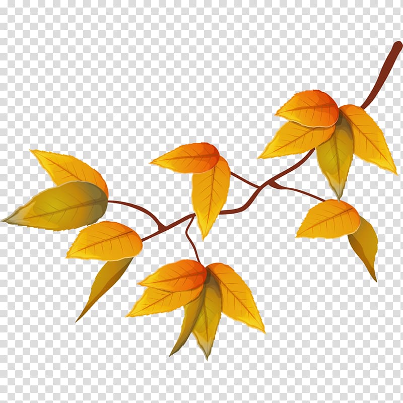 Yellow Autumn Adobe Illustrator Illustration, Yellow autumn leaves transparent background PNG clipart