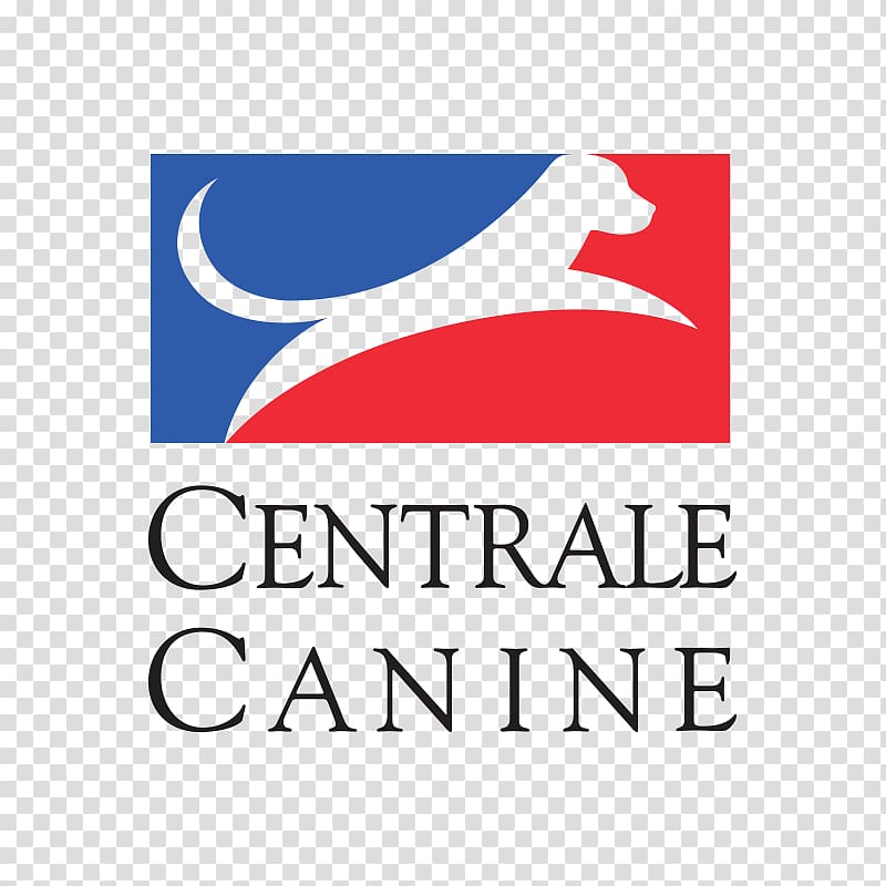 Pointer Belgian Shepherd Société Centrale Canine Malinois dog Dog breeding, pets material plane transparent background PNG clipart