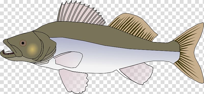 Northern pike Walleye , others transparent background PNG clipart