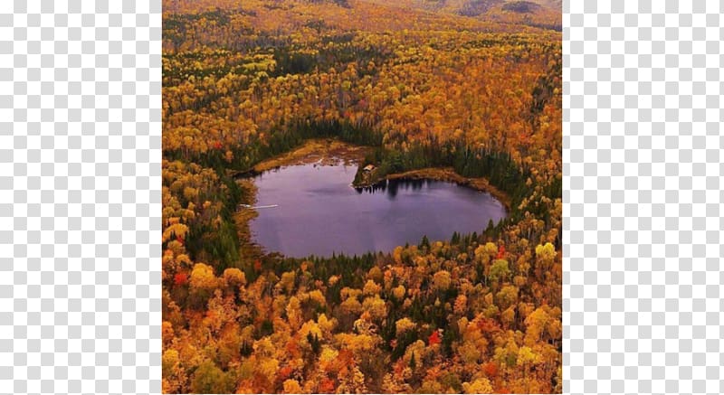 Quebec City Heart Lake Otter Lake Name of Canada Arthabaska Regional County Municipality, Rusty Lake Paradise transparent background PNG clipart