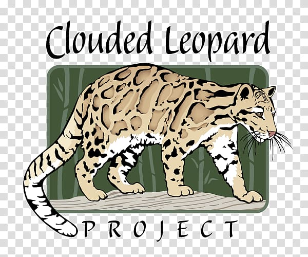 Whiskers Leopard Tiger Ocelot Wildcat, leopard transparent background PNG clipart