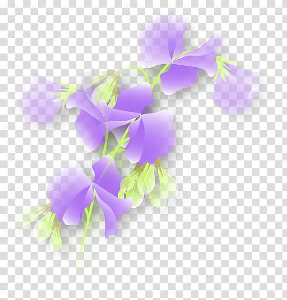 Sweet pea Purple Plant stem Violet, pea transparent background PNG clipart