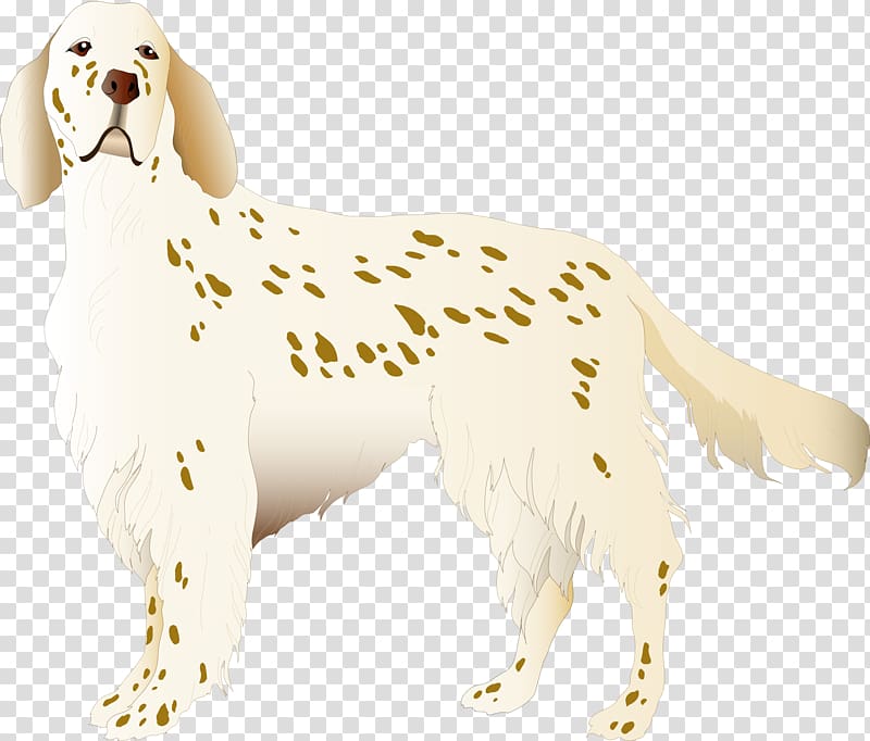 English Setter Puppy Assistance dog Dog breed , Dog transparent background PNG clipart
