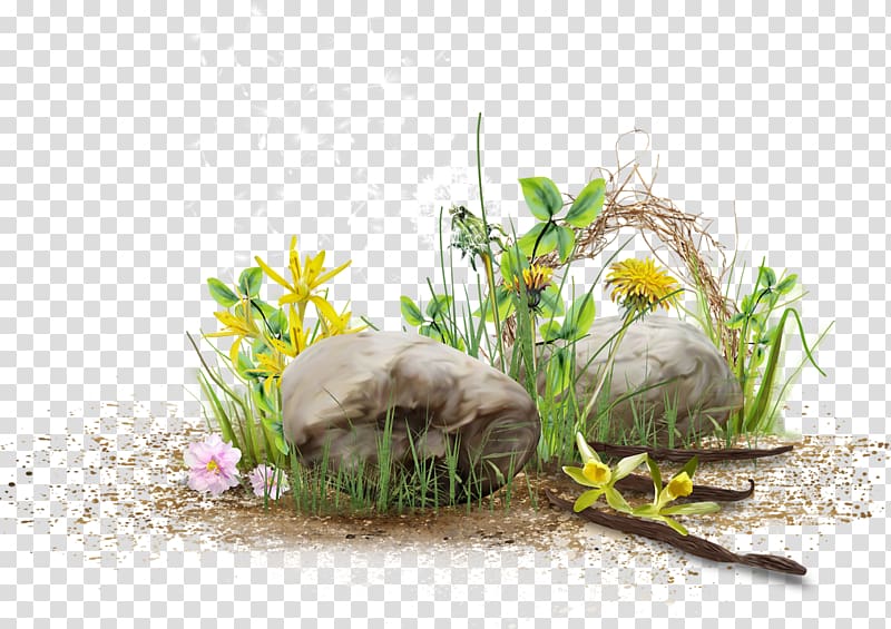 Albom , Stone and flowers transparent background PNG clipart