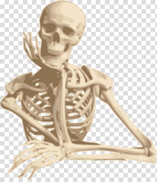 skeleton , Human skeleton Skull , Funny Skeleton transparent background PNG clipart