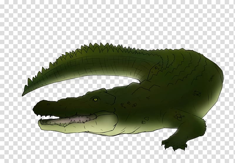 Crocodiles Alligator Saltwater crocodile Painting Drawing, crocodile transparent background PNG clipart