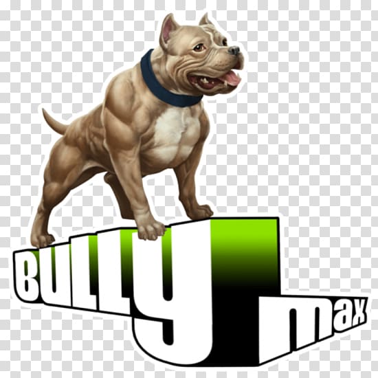 American Bully American Pit Bull Terrier Dietary supplement Veterinarian, others transparent background PNG clipart