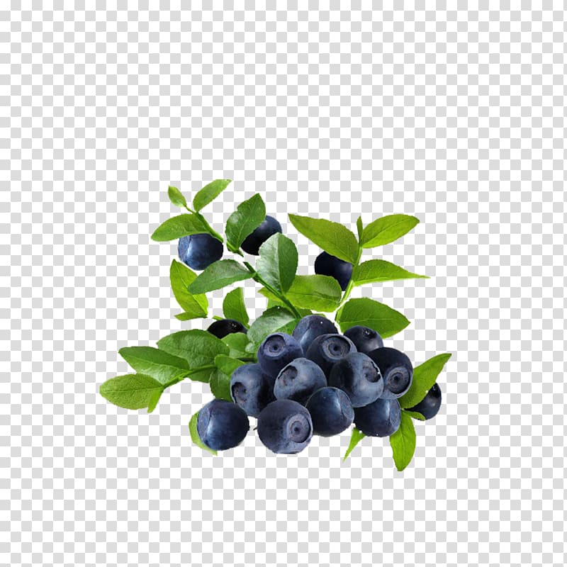 Juice Frutti di bosco Blueberry Bilberry Leaf, blueberry transparent background PNG clipart