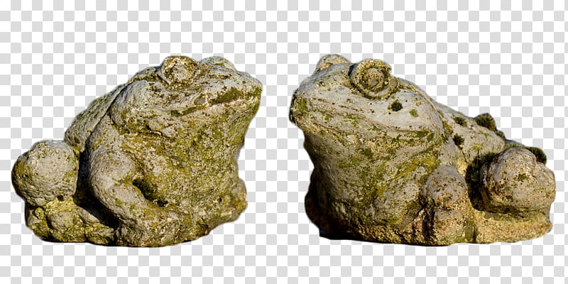 True frog Toad, Two frogs stone pier like transparent background PNG clipart
