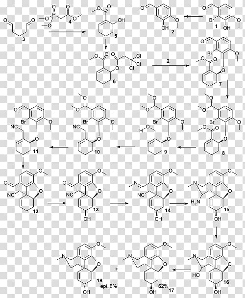 Galantamine total synthesis Total synthesis of morphine and related alkaloids Chemical synthesis, Reductive Amination transparent background PNG clipart