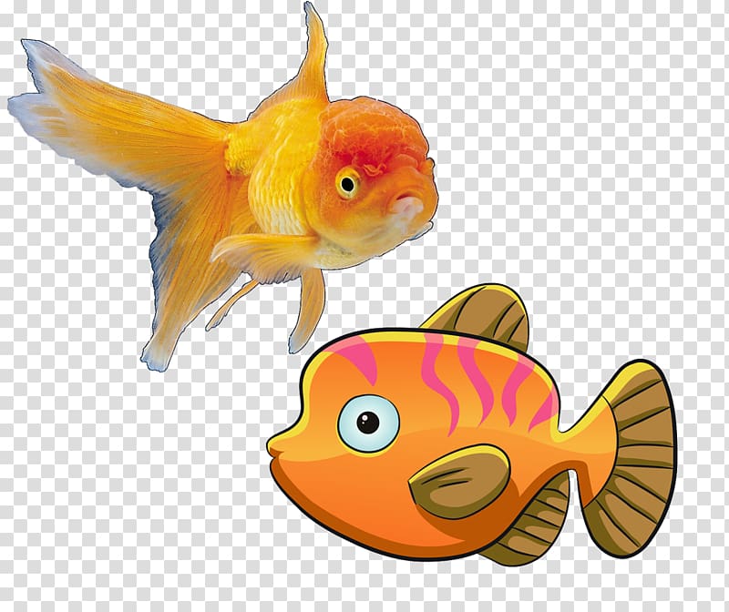Deep sea fish Cartoon, Fish Creative Figure transparent background PNG clipart