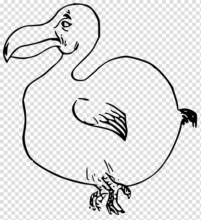 Bird Dodo , Bird transparent background PNG clipart