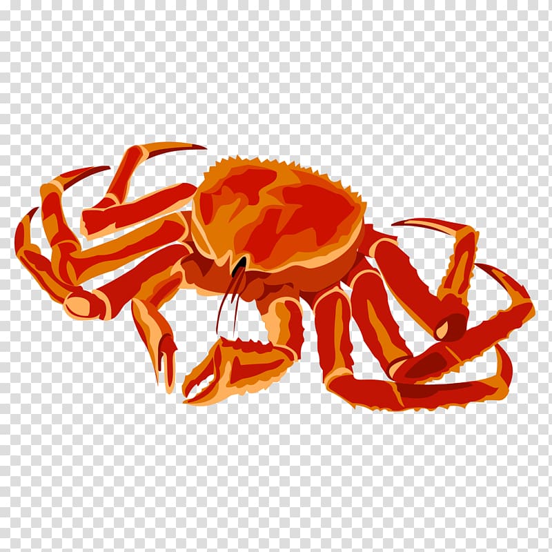 Florida stone crab , crab transparent background PNG clipart