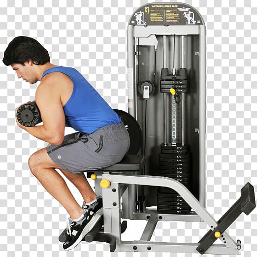 Exercise machine Exercise equipment Human back Crunch, others transparent background PNG clipart