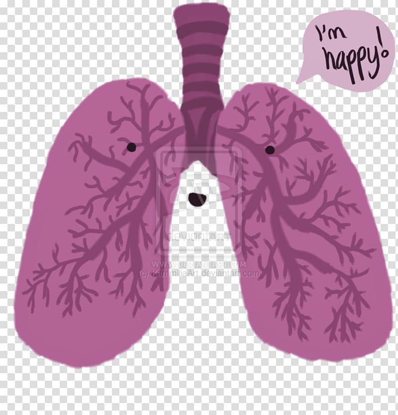 Lung Happiness Heart Breathing, creative lungs transparent background PNG clipart