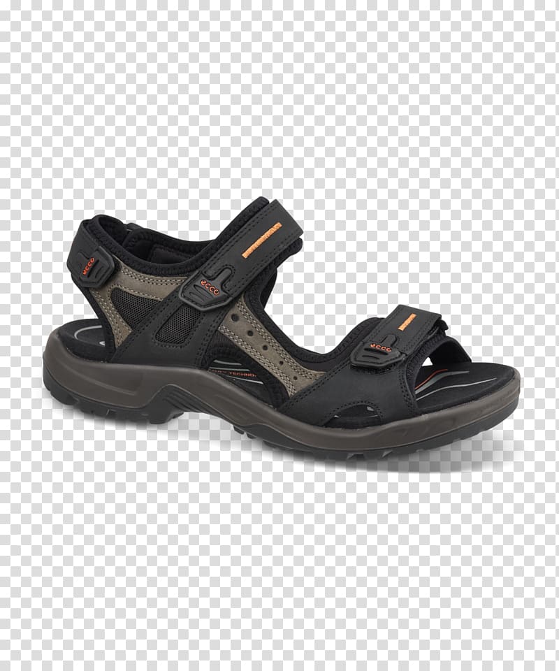 Sandal Amazon.com Shoe ECCO Shorts, sandal transparent background PNG clipart