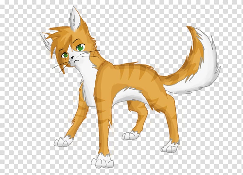 Cat Warriors Firestar Anime Rising Storm, Cat transparent background PNG clipart