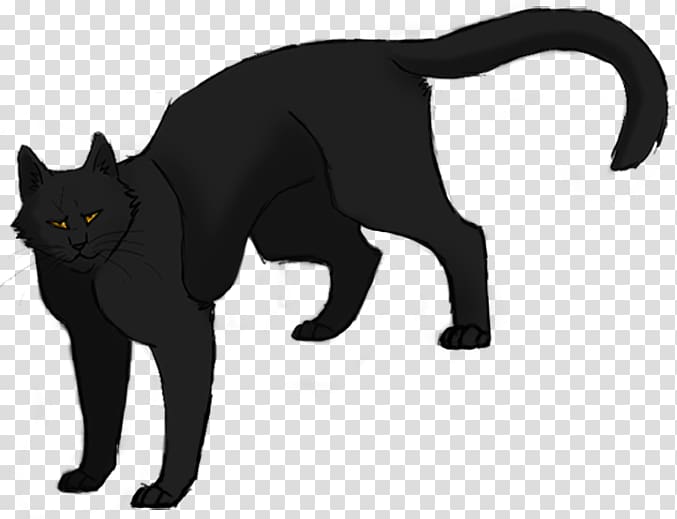 Black cat Bombay cat Whiskers Night Whispers Warriors, jayfeather transparent background PNG clipart