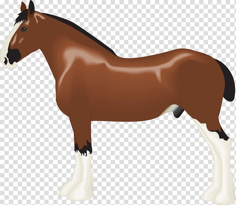 Clydesdale horse Albanian horse Draft horse , horse transparent background PNG clipart