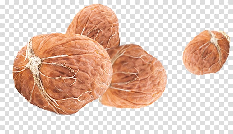 Walnut Peel Auglis Fruit, Freshly peeled walnut transparent background PNG clipart