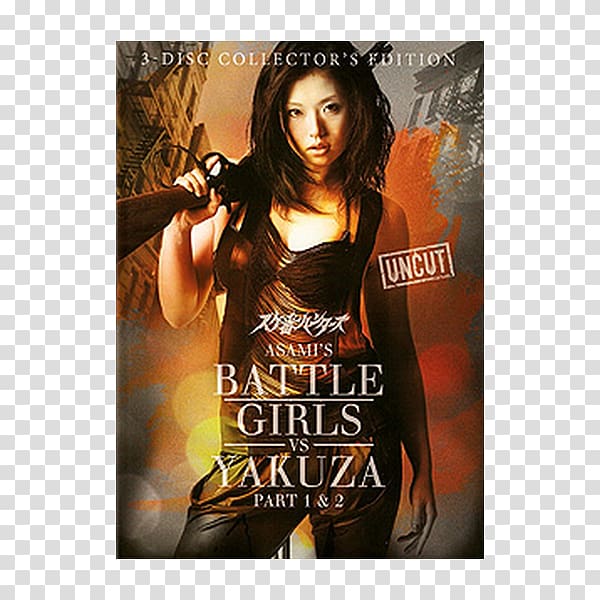 Blu-ray disc Action Film Battle Girls DVD, dvd transparent background PNG clipart