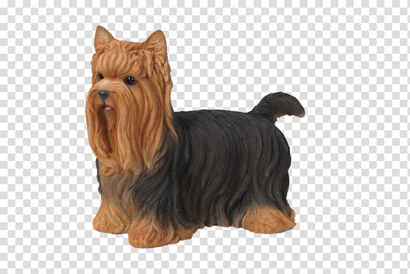 Yorkshire Terrier Australian Terrier Australian Silky Terrier Cairn Terrier Norfolk Terrier, others transparent background PNG clipart