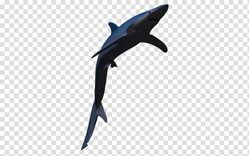 Blue shark Pelican eel, Blue Shark transparent background PNG clipart