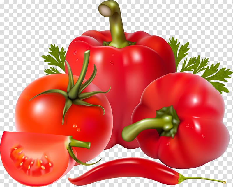 Bell pepper Salsa Chili pepper Vegetable , tomato transparent background PNG clipart