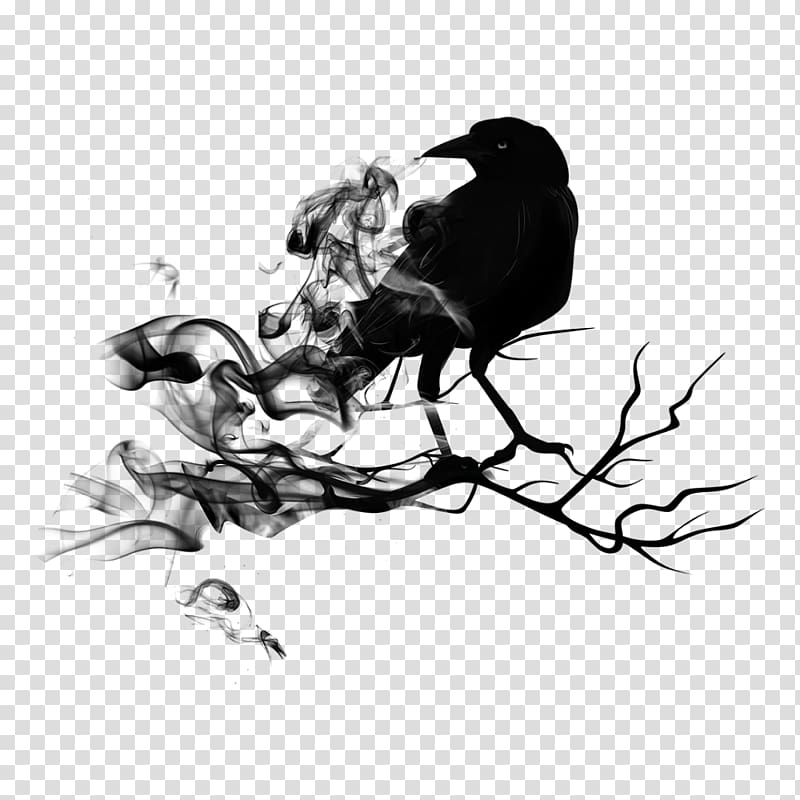 Songbird Rook Common raven Crow, Bird transparent background PNG clipart