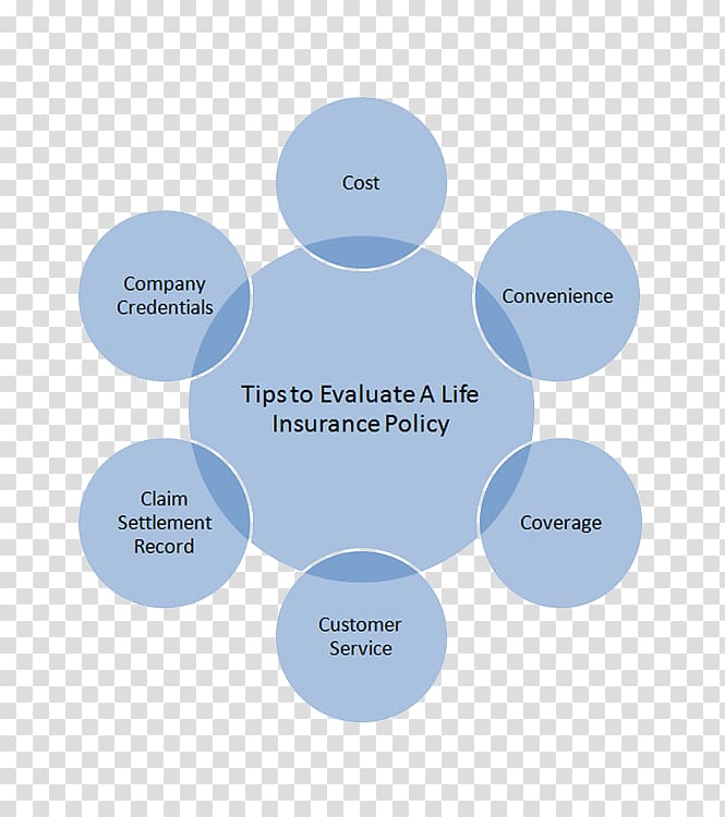 Business process management Business intelligence, insurance policy transparent background PNG clipart