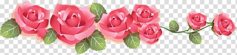 beautiful flower pattern border transparent background PNG clipart