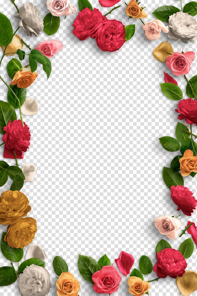 Flower Petal , Colorful Roses creative transparent background PNG clipart