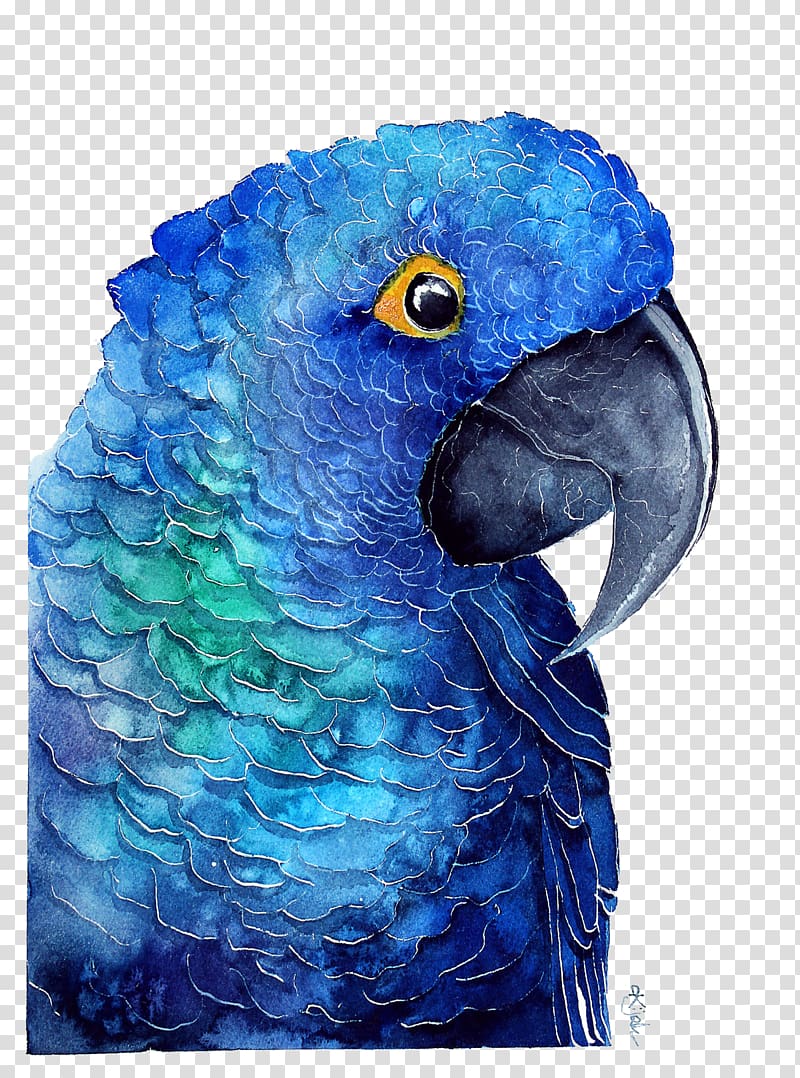 blue Rio parrot, Parrot Poster Watercolor painting, Blue Parrot transparent background PNG clipart