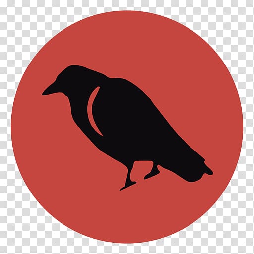 Bird Common raven Crow Drawing Computer Icons, Bird transparent background PNG clipart