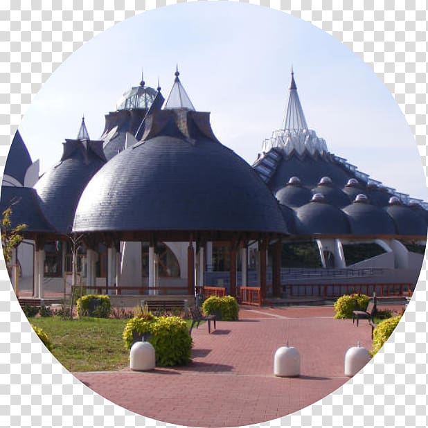 Makó Szeged Town Place of worship Historic site, orchidea transparent background PNG clipart