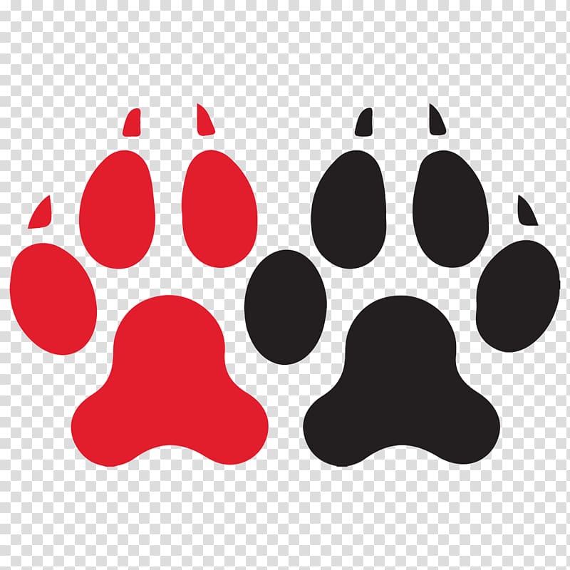 Northeastern University Northeastern Huskies men\'s ice hockey Northeastern Huskies women\'s ice hockey Matthews Arena Quinnipiac University, husky transparent background PNG clipart