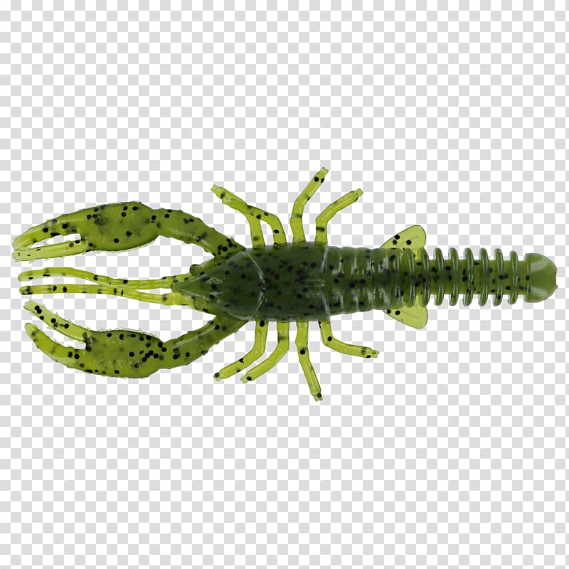 Decapoda Wels Crayfish Yellow Blue, spicy crayfish transparent background PNG clipart