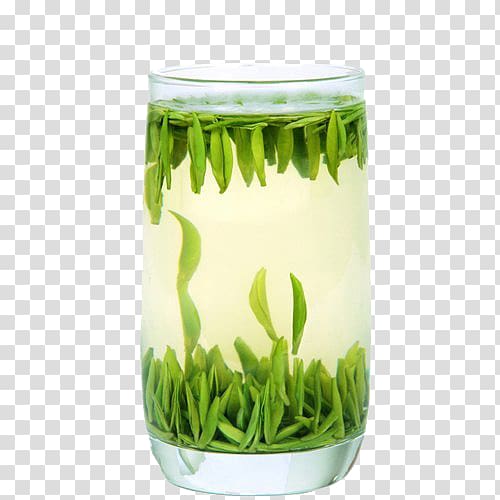 Green tea Jintan District Meitan Cuiya Longjing tea, Natural green tea transparent background PNG clipart