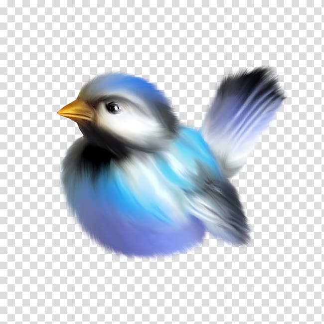 Hand Drawn Cartoon Bird, Cartoon Bird, Anime, Baby Bird PNG White  Transparent And Clipart Image For Free Download - Lovepik | 401280392