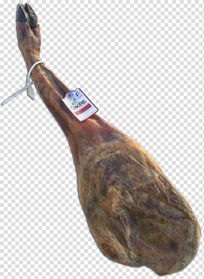 Black Iberian pig Chacinas de Villanueva SL Ham Jamón ibérico Meat, ham transparent background PNG clipart